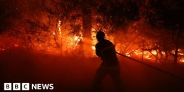 Firefighter putting out a fire in a forest in France.