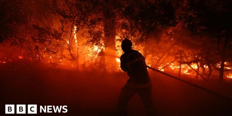 Firefighter putting out a fire in a forest in France.
