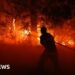 Firefighter putting out a fire in a forest in France.