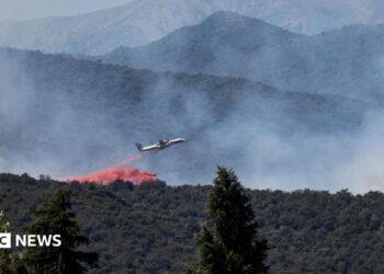 A firefighting plane drops fire retardant as it flies over a wildfire in Ille-sur-Tet near Perpignan in southern France.
