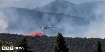 A firefighting plane drops fire retardant as it flies over a wildfire in Ille-sur-Tet near Perpignan in southern France.