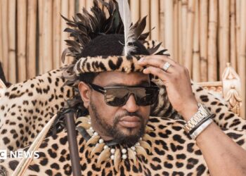 King Misuzulu kaZwelithini is pictured in sunglasses and leopard print ceremonial clothing