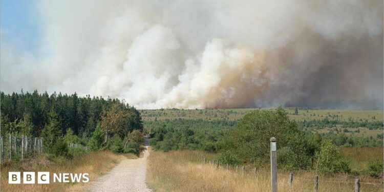 A plume of smoke rises into the sky during a wildfire in the Hautes Fagnes (High Fens) nature reserve in Belgium