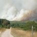 A plume of smoke rises into the sky during a wildfire in the Hautes Fagnes (High Fens) nature reserve in Belgium