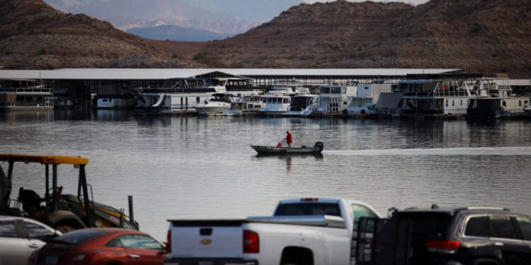 Lake Mead shoreline