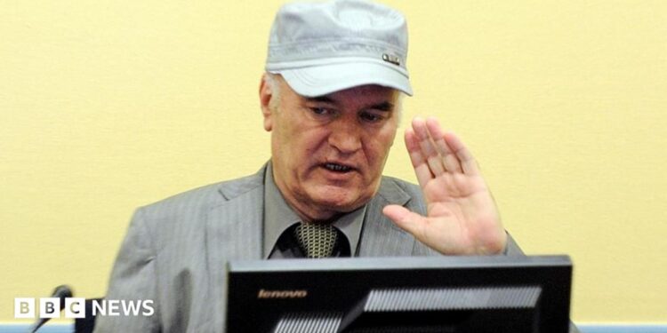 Former Bosnian Serb commander Ratko Mladic appears in court at the International Criminal Tribunal for the former Yugoslavia (ICTY) in the Hague, June 3, 2011