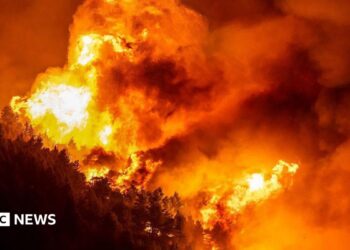 A wooden area is enfulfed in flames during a raging wildfire near the town of Omiš