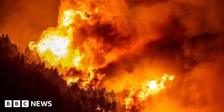 A wooden area is enfulfed in flames during a raging wildfire near the town of Omiš