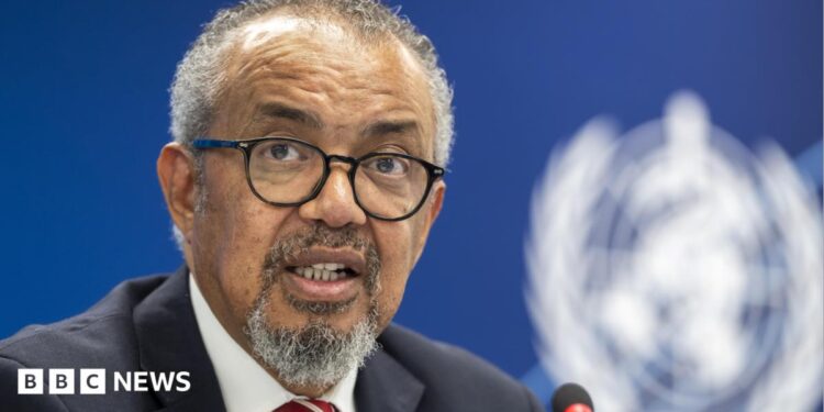 A man with grey curly hair, a beard and black glasses speaks into a microphone.