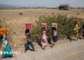 Six women walk along a road carrying buckets of water on their heads, with dry-looking ground, animals and a building in the background.