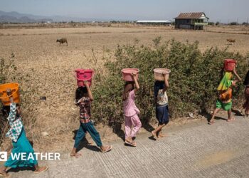 Six women walk along a road carrying buckets of water on their heads, with dry-looking ground, animals and a building in the background.