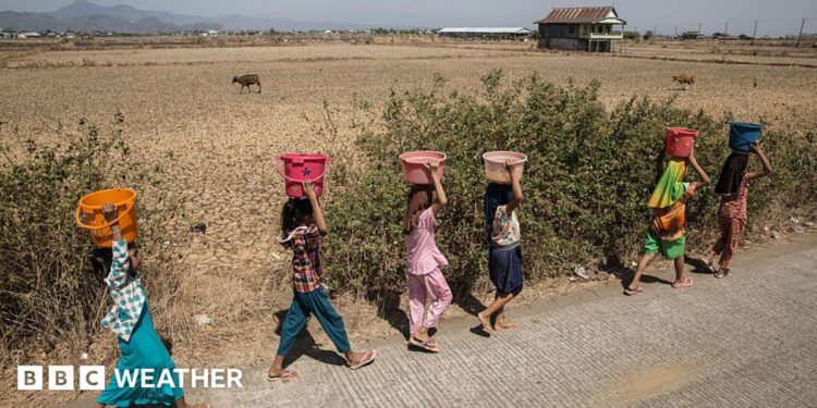 Six women walk along a road carrying buckets of water on their heads, with dry-looking ground, animals and a building in the background.
