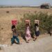 Six women walk along a road carrying buckets of water on their heads, with dry-looking ground, animals and a building in the background.