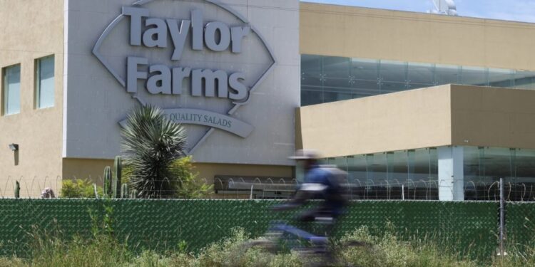 Mexico's President Sheinbaum says health study underway after cyclosporiasis outbreak in US
