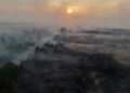 Wildfire burning in the High Fens (Hautes Fagnes) region in Belgium