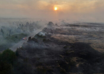 Wildfire burning in the High Fens (Hautes Fagnes) region in Belgium