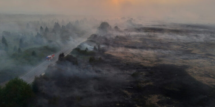 Wildfire burning in the High Fens (Hautes Fagnes) region in Belgium