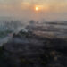 Wildfire burning in the High Fens (Hautes Fagnes) region in Belgium