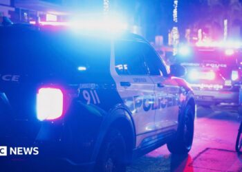 A file photo of a police car with flashing lights on a dark street