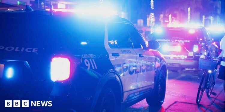 A file photo of a police car with flashing lights on a dark street