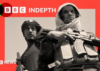 BBC InDepth