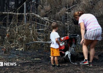 A woman and a toddler stand by charred ground and burned plants.