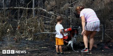 A woman and a toddler stand by charred ground and burned plants.