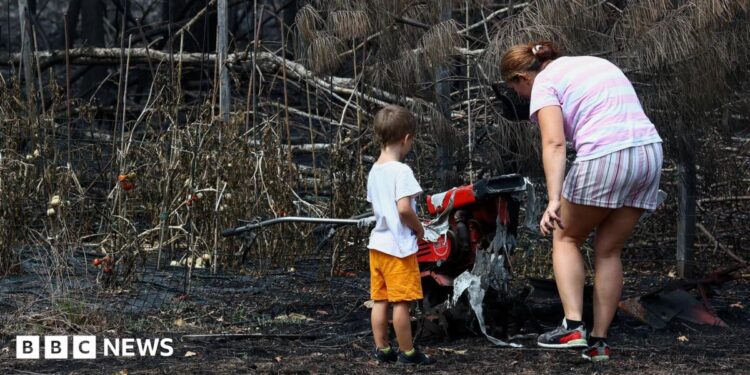 A woman and a toddler stand by charred ground and burned plants.