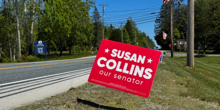 Election signs for Susan Collins