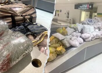 A large quantity of khat at an airport