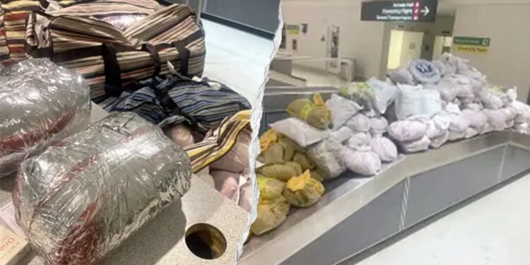 A large quantity of khat at an airport