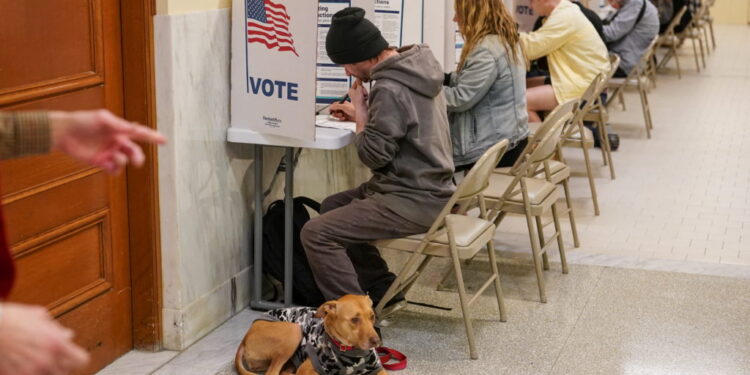 People vote at the San Francisco City Hall voting center in San Francisco