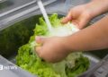 A person washing lettuce under running water.