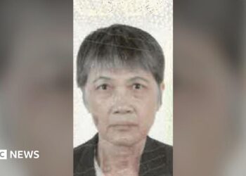 Shulai Wang