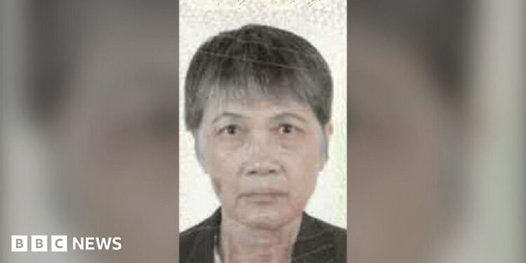 Shulai Wang