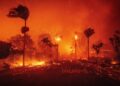 California Governor-Wildfire Liability