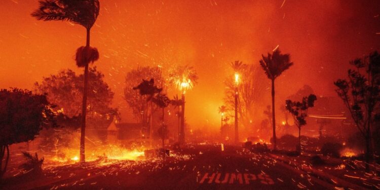 California Governor-Wildfire Liability