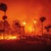 California Governor-Wildfire Liability