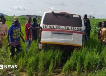 A group of men in Nigeria gather around a white vehicle that is stuck in a muddy rural area surrounded by long grass