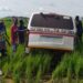 A group of men in Nigeria gather around a white vehicle that is stuck in a muddy rural area surrounded by long grass