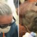 Left, a woman in a surgical mask and sunglasses. Right, an orangutan lies dazed on the ground.