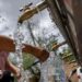 A woman fills a large container of water at a public tap