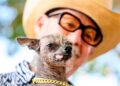 APTOPIX Ugly Dog Contest