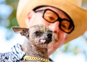 APTOPIX Ugly Dog Contest