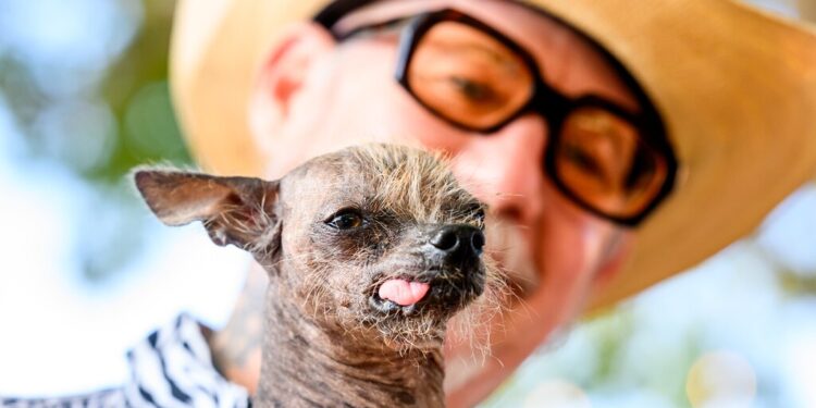 APTOPIX Ugly Dog Contest