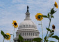 U.S. Capitol building is framed by flowers in Washington