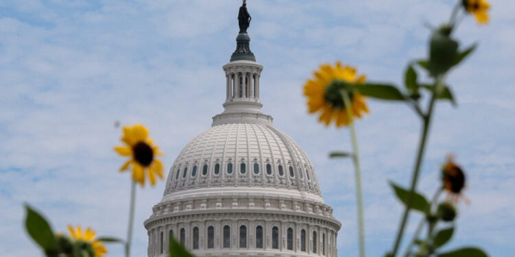 U.S. Capitol building is framed by flowers in Washington