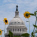 U.S. Capitol building is framed by flowers in Washington