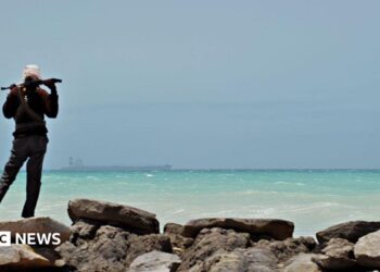 A man - with his back to the camera - stands on some rocks to the left of the picture. Holding a gun across his shoulders, he is looking out to sea where a tanker is in the far distance.