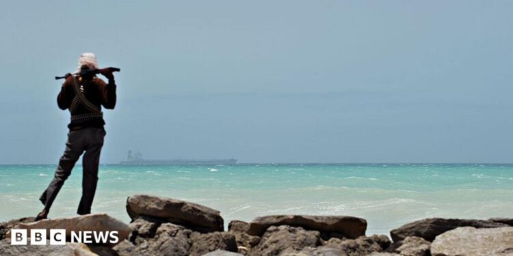 A man - with his back to the camera - stands on some rocks to the left of the picture. Holding a gun across his shoulders, he is looking out to sea where a tanker is in the far distance.